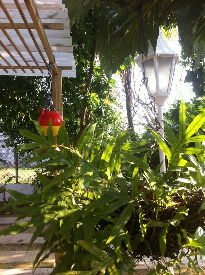 Hostal Casaluna San Andres Exterior photo